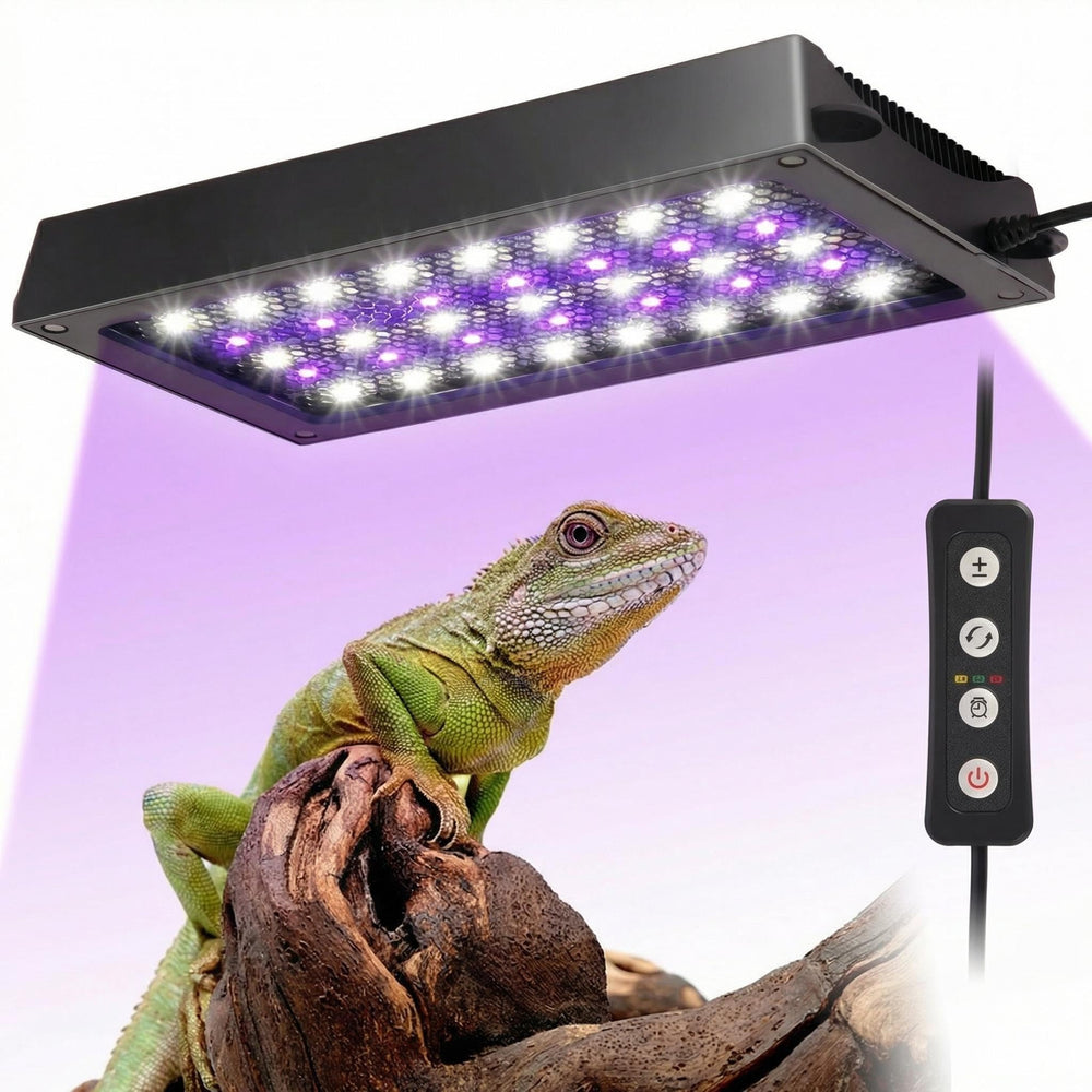 Zingbabu UVB Reptile Light front view with even basking illumination for bearded dragons.