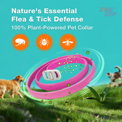 ZingZap pink collar worn on dog demonstrates continuous protection.