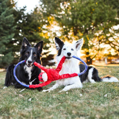 ZippyPaws RopeTugz Monkey plush stays soft on teeth while enduring pulls.