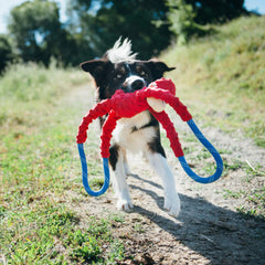 ZippyPaws RopeTugz uses heavy-duty climbing rope to resist strong tugs.