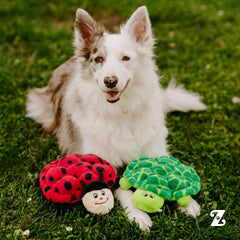 ZippyPaws Squeakie Crawlers ladybug 10inch unstuffed toy for gentle tugging and fetch