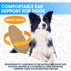 Ziyue Doberman Ear Posting Kit Soft Materials: puppy-friendly design minimizes ear irritation