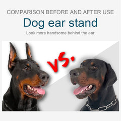 Ziyue elastic sponge sticks provide gentle contact for ear posting.