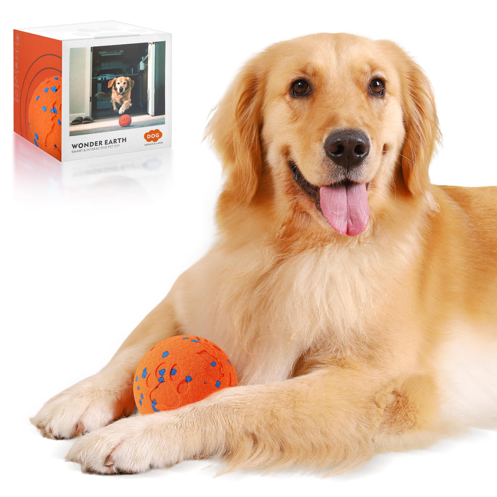 Zizimoko smart interactive dog toy ball ready for engaging indoor play and exercise.