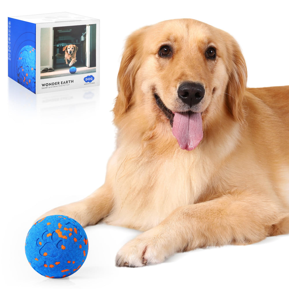 Zizimoko smart interactive dog toy ball for engaging play and curiosity.