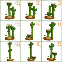 ZLAFM cactus flower-top perch blends with modern home decor