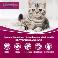 ZoGuard Plus waterproof formulation shown after bath, continuing protection.