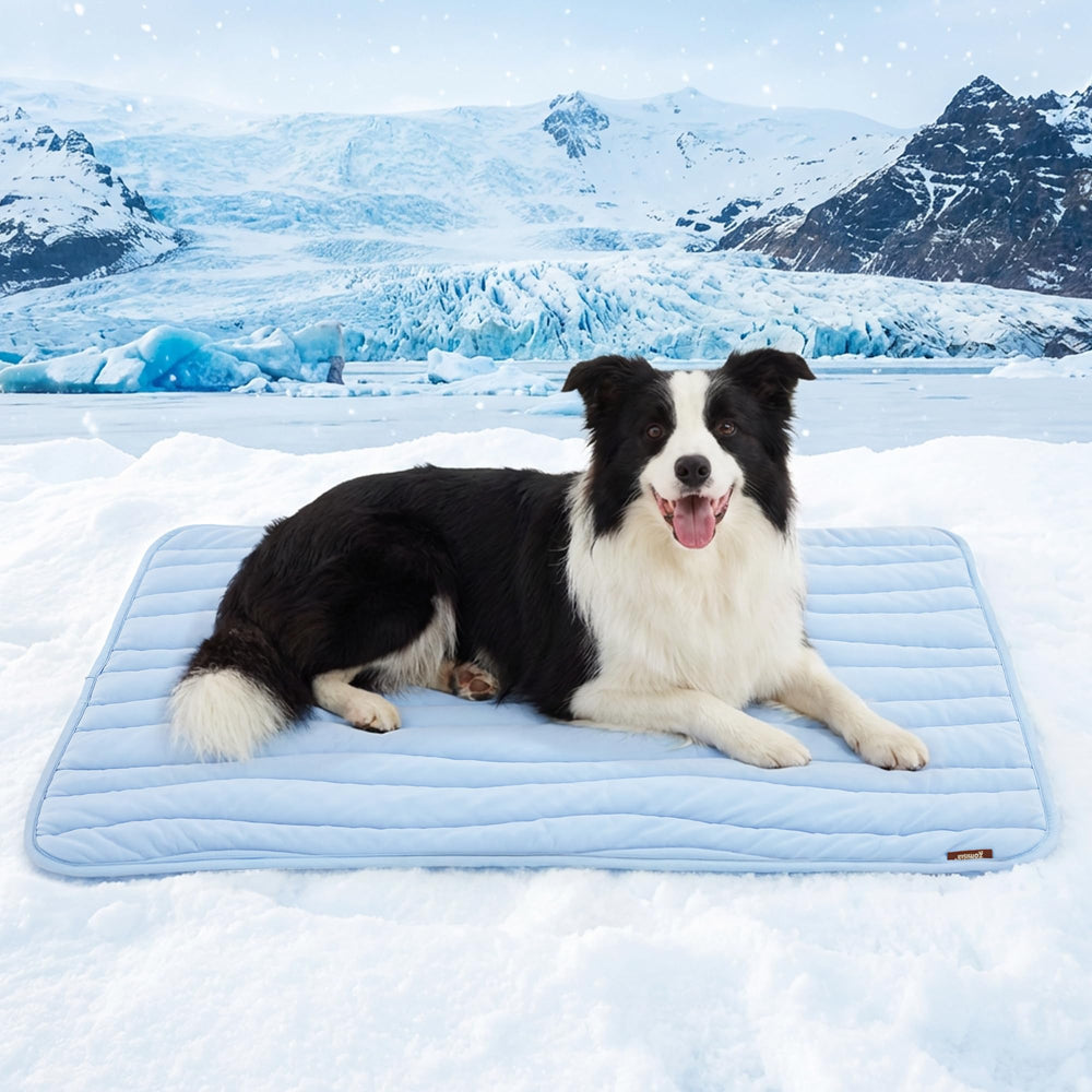 ZOMISIA extralarge cooling mat 44x32 blue flat lay for immediate cooling on contact.