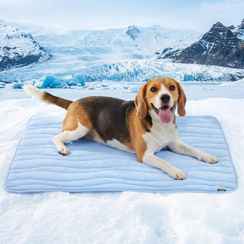 ZOMISIA cooling mat for large dogs on floor, instant cooling on contact.