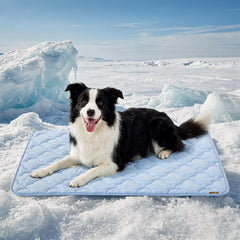 ZOMISIA extralarge dog cooling mat blue front view highlights instant cooling