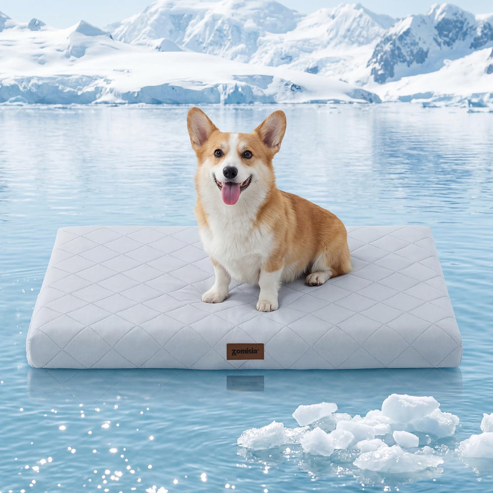 ZOMISIA orthopedic cooling dog bed large with plush grey cover delivering cooling relief after play