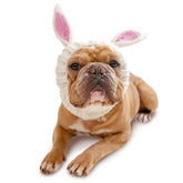 Zoo Snoods bunny-costume-dog-snood front view keeps ears warm and stylish