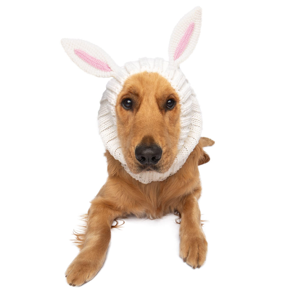 Zoo Snoods Bunny Costume on a dog, cozy knit look for chilly days.