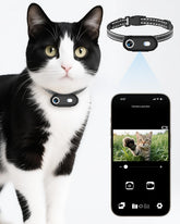 ZoomaraKam cat camera collar front view showing compact wearable
