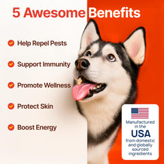 ZOOMEZEN chicken flavor chews—tasty solution dogs readily accept for flea defense.