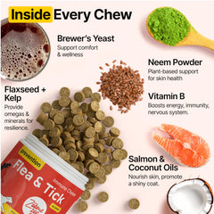 ZOOMEZEN neem and kelp powered chews—plant-based protection supporting skin and coat.