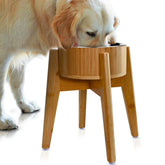 ZPirates elevated dog bowl stand in bamboo and steel for a calm mealtime.