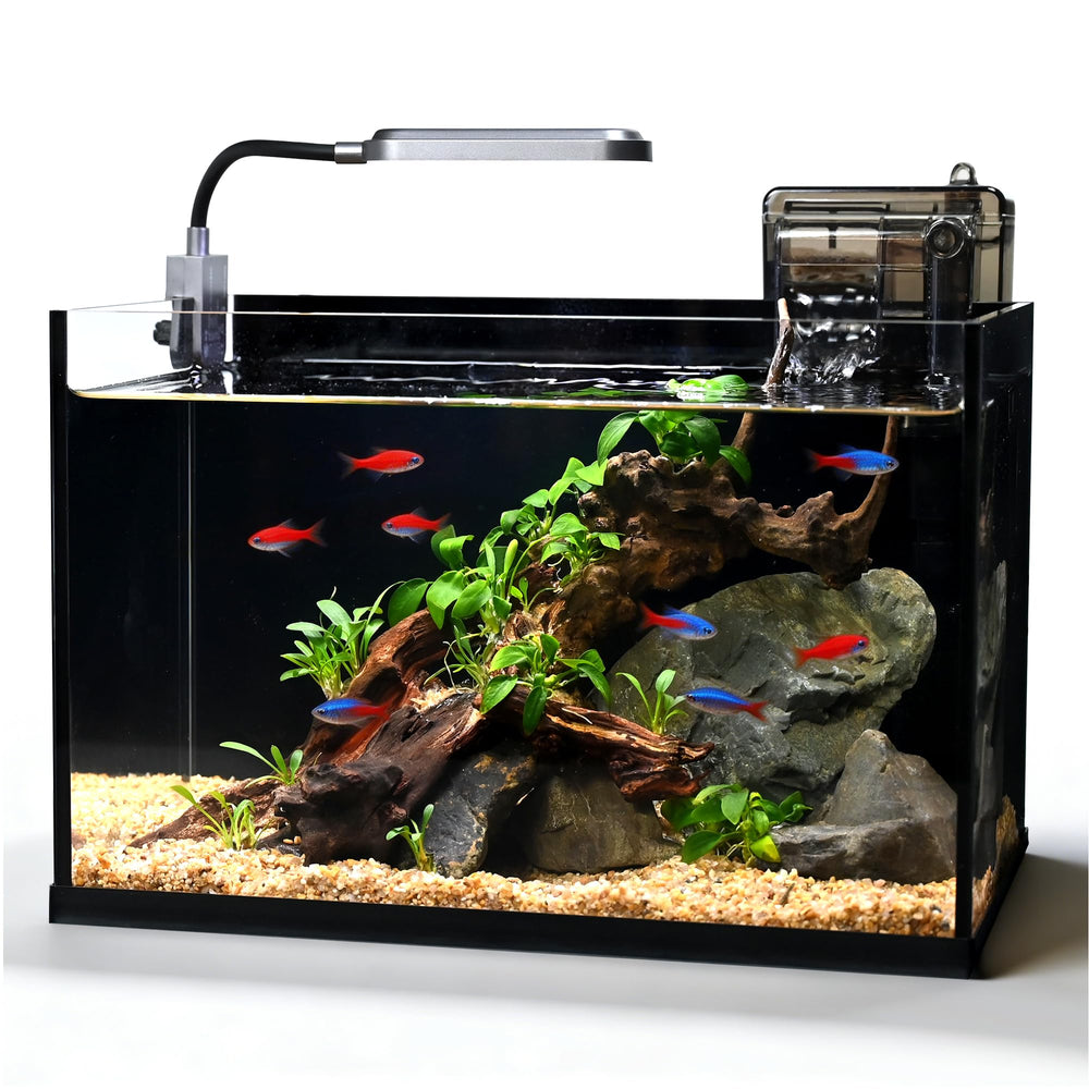 ZXIE-Cloud glass fish tank front view highlights crystal clarity for vivid betta displays.