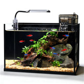 ZXIE-Cloud glass fish tank front view highlights crystal clarity for vivid betta displays.