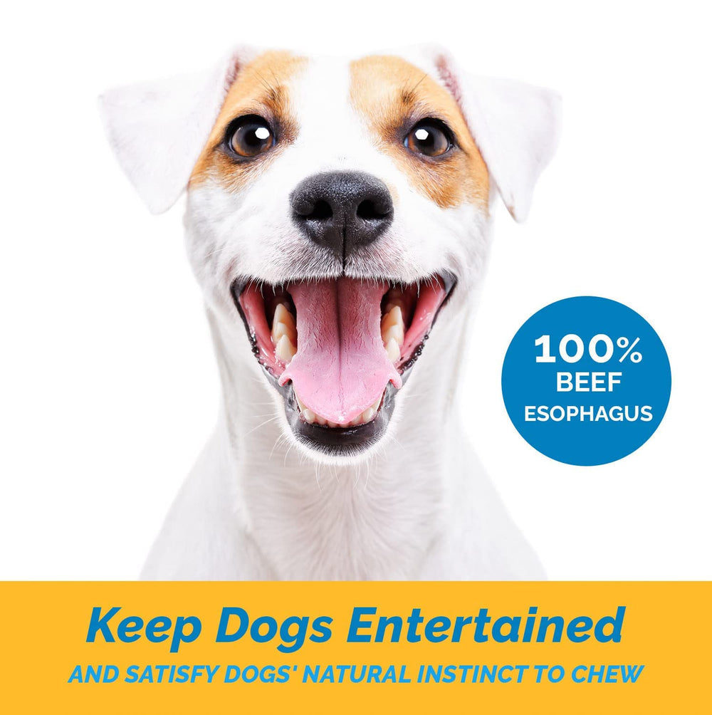123 Treats beef esophagus dog treat 12-inch sticks great for longer chews and rewards.