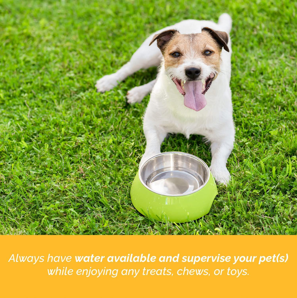 Joint-support chew from 123 Treats rich in chondroitin and glucosamine for active dogs.