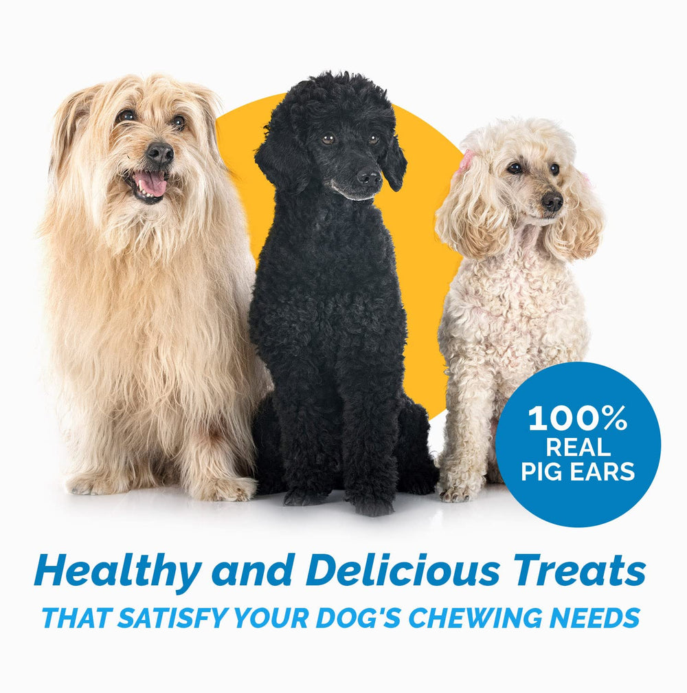 123 Treats pork ear strips for puppies, perfect training rewards.