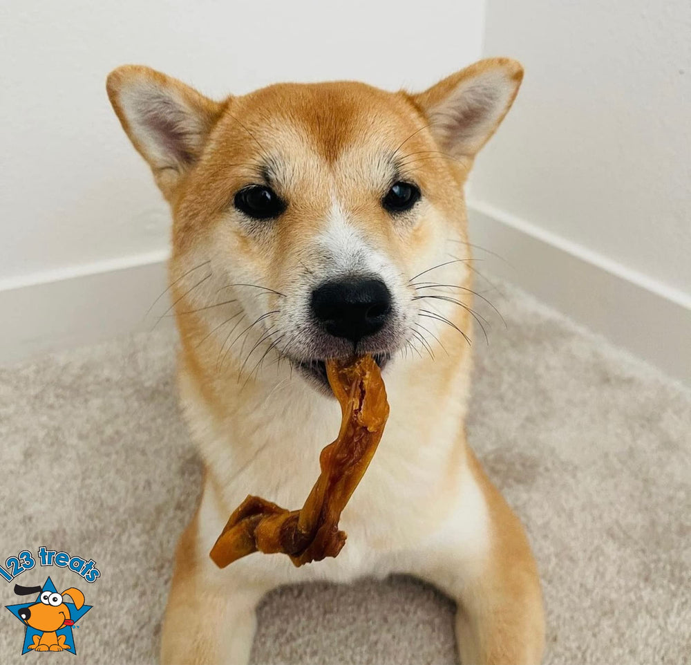 123 Treats premium pork chews in a 5 lb bag.