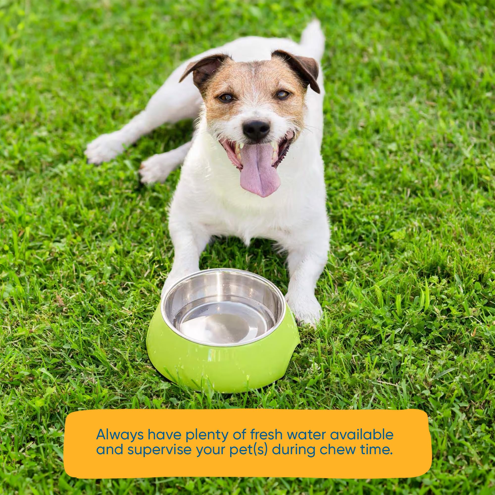 123 Treats protein-rich dog snack: supports coat health with natural amino acids.