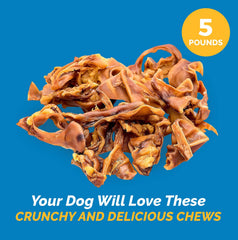 123 Treats soft pig ear slivers for gentle munching.