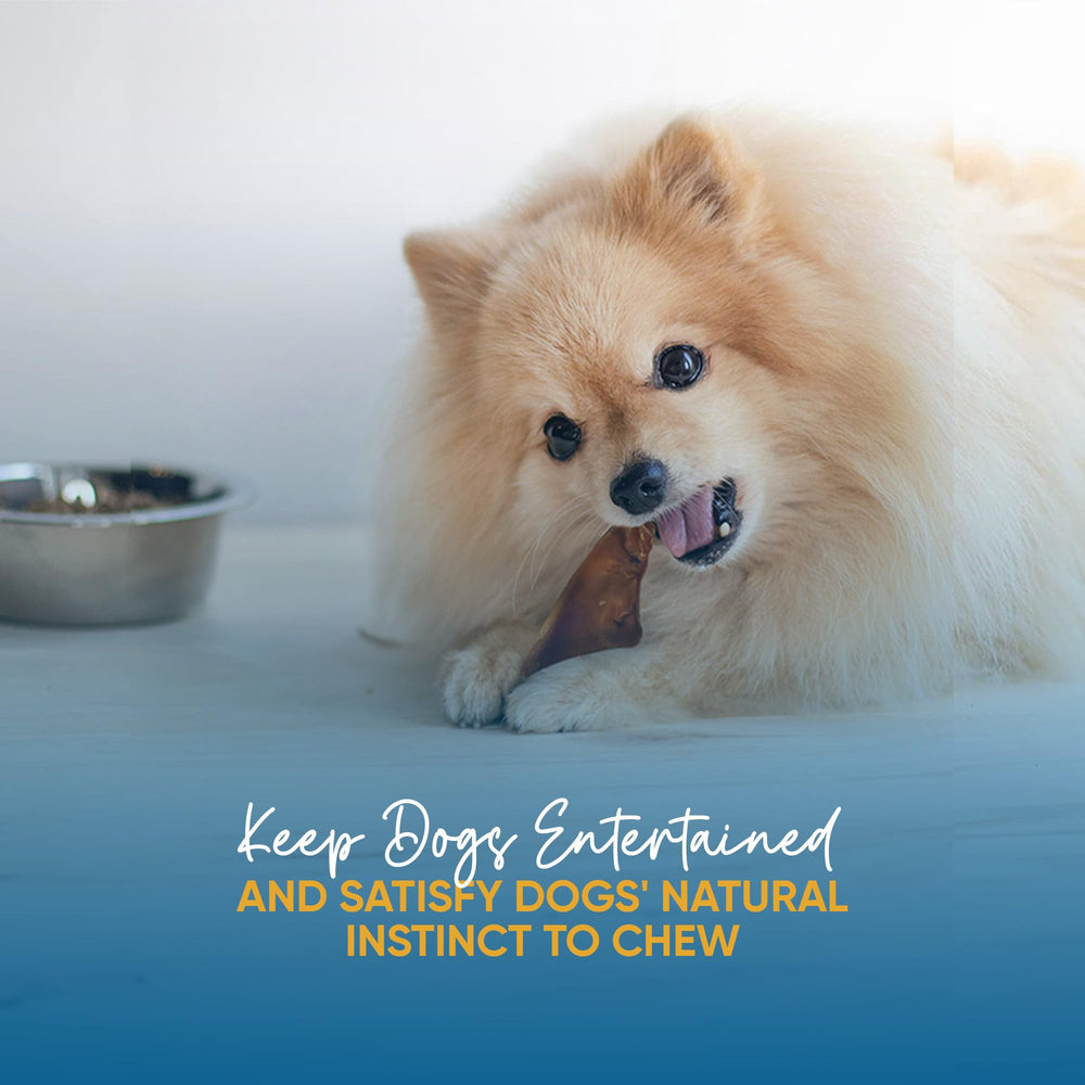 123 Treats teeth and gum care pig ears: promotes comfortable chewing for dogs.