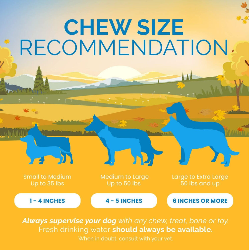 Training reward chew by 123 Treats for positive reinforcement during practice.