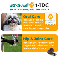 1-TDC WorksSoWell capsules closeup for pet mobility support.