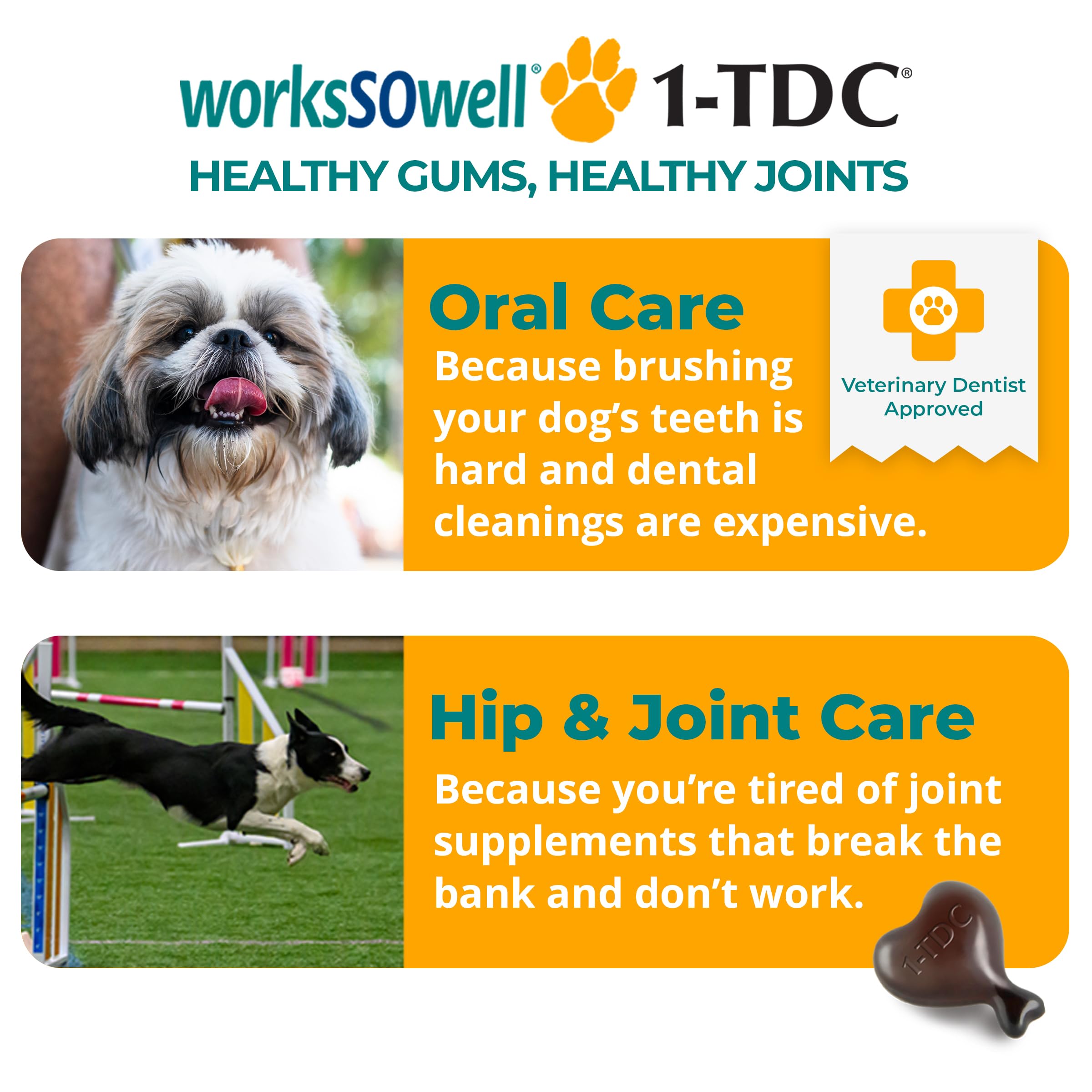 1-TDC WorksSoWell dog joint-mobility supports active dogs