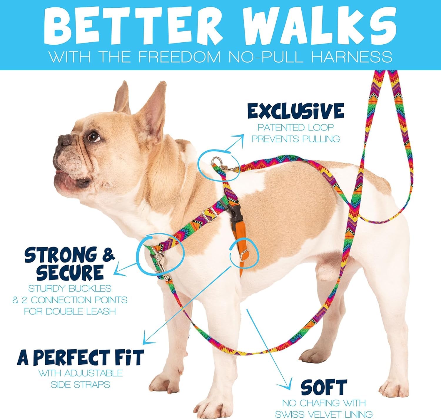 2 Hounds Design Freedom No-Pull Harness back view showing full fitting and control