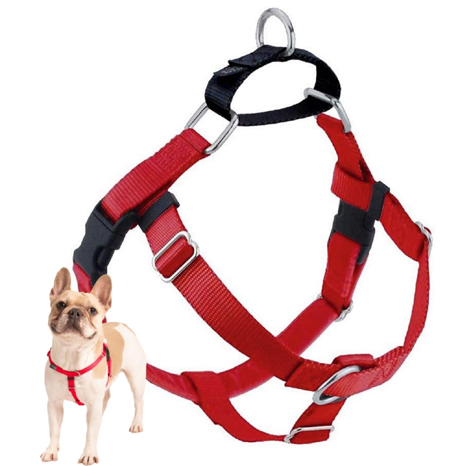 2 Hounds Design Freedom No Pull Harness front O ring for confident leash control