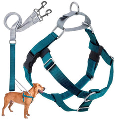 2 Hounds Design Freedom No Pull Harness front O-ring for controlled walking