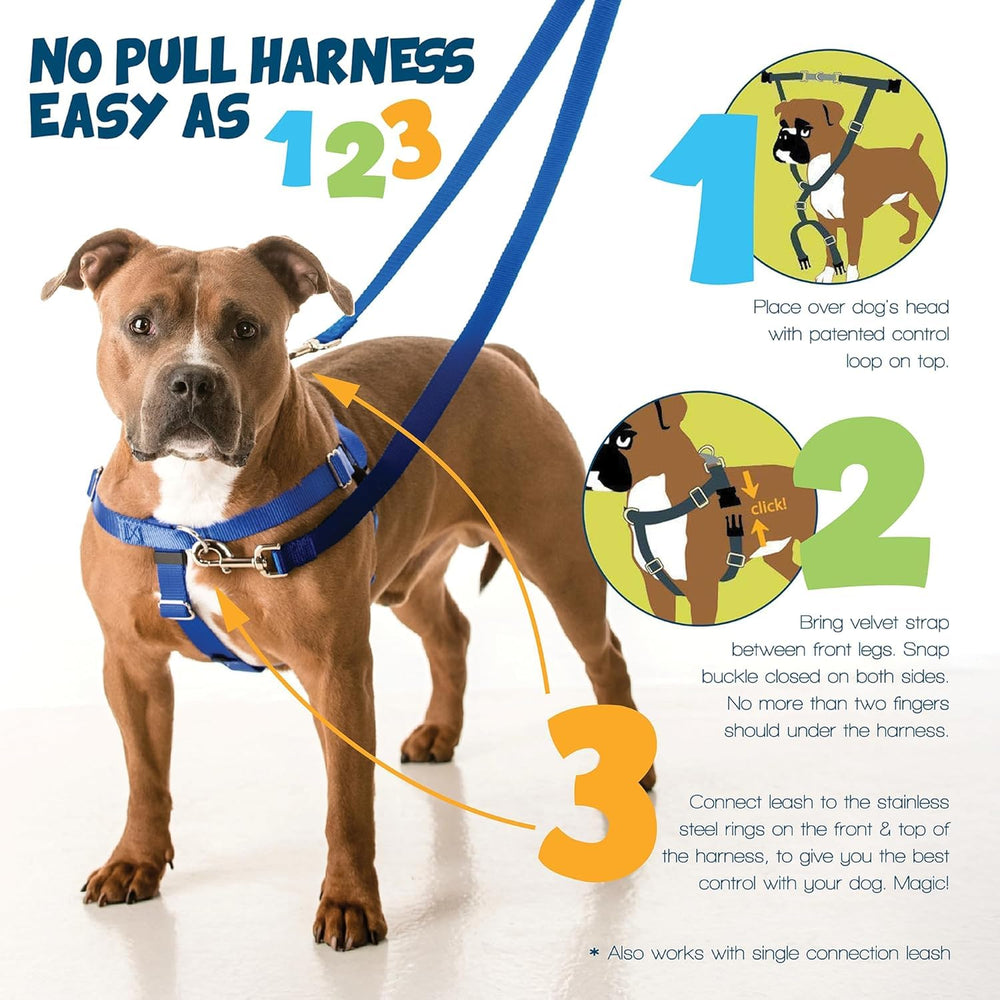 2 Hounds Design Freedom No-Pull Harness front O-ring close-up for guiding your dog