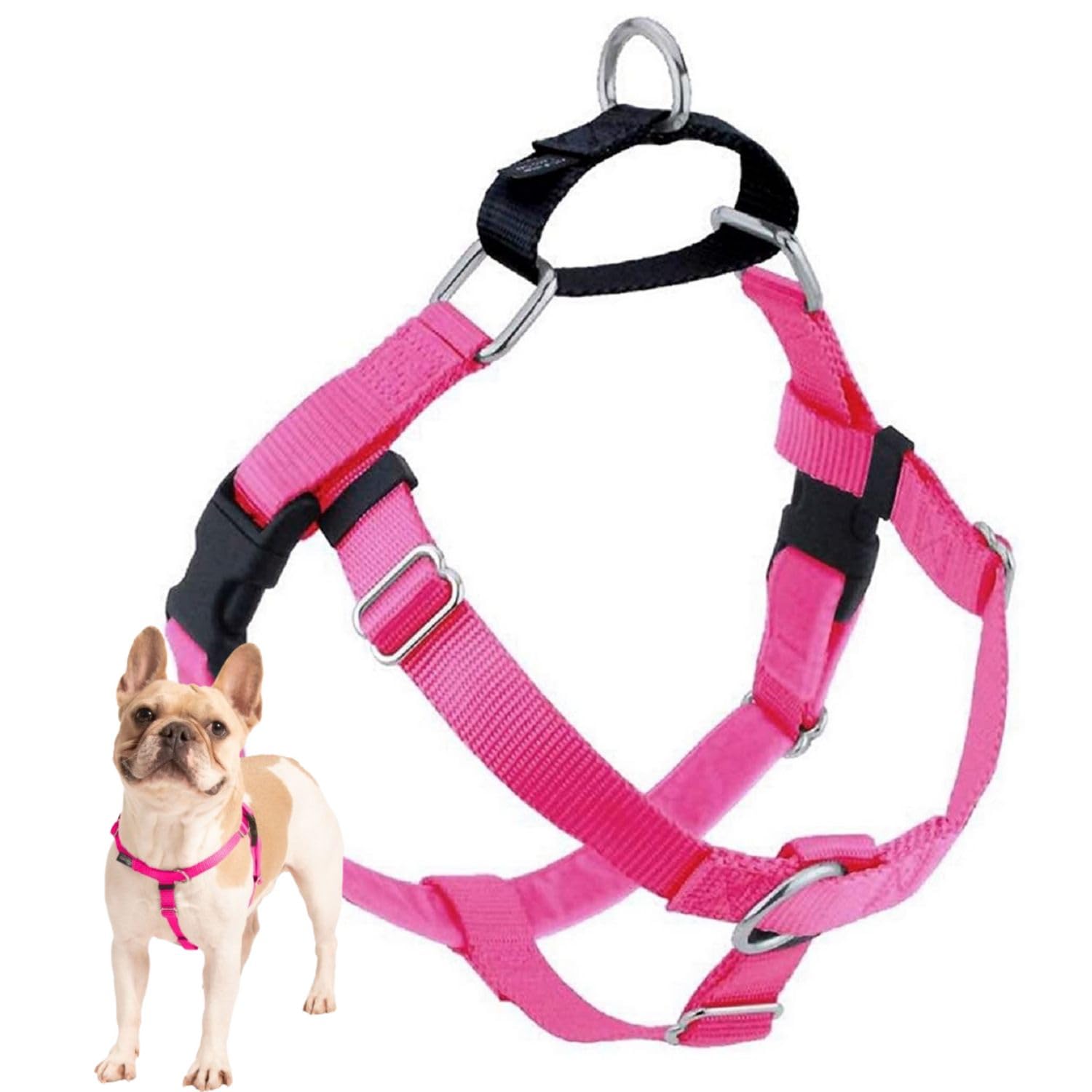 2 Hounds Design Freedom No Pull Harness front ring for easy steering during walks
