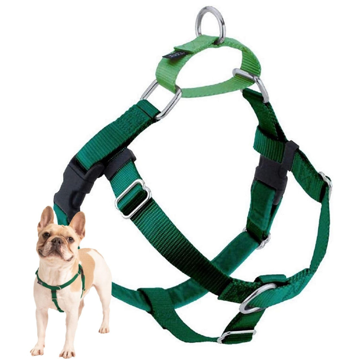 2 Hounds Design Freedom no-pull harness front view with front O-ring for guided walks