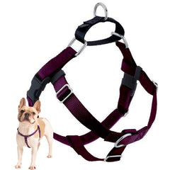 2 Hounds Design Freedom No Pull Harness front view for secure, comfortable walks.