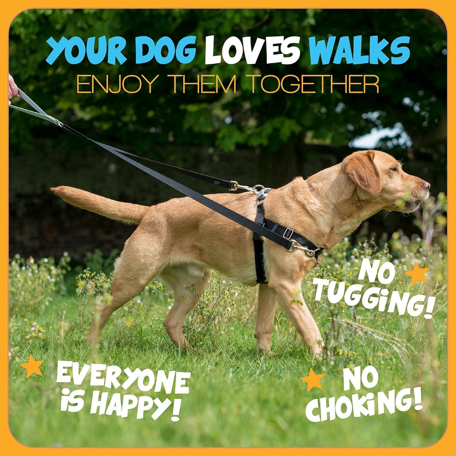 2 Hounds Design Freedom No Pull Harness stainless steel hardware resists rust