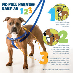 2 Hounds Design Freedom No-Pull Harness teal chest strap closeup for front control