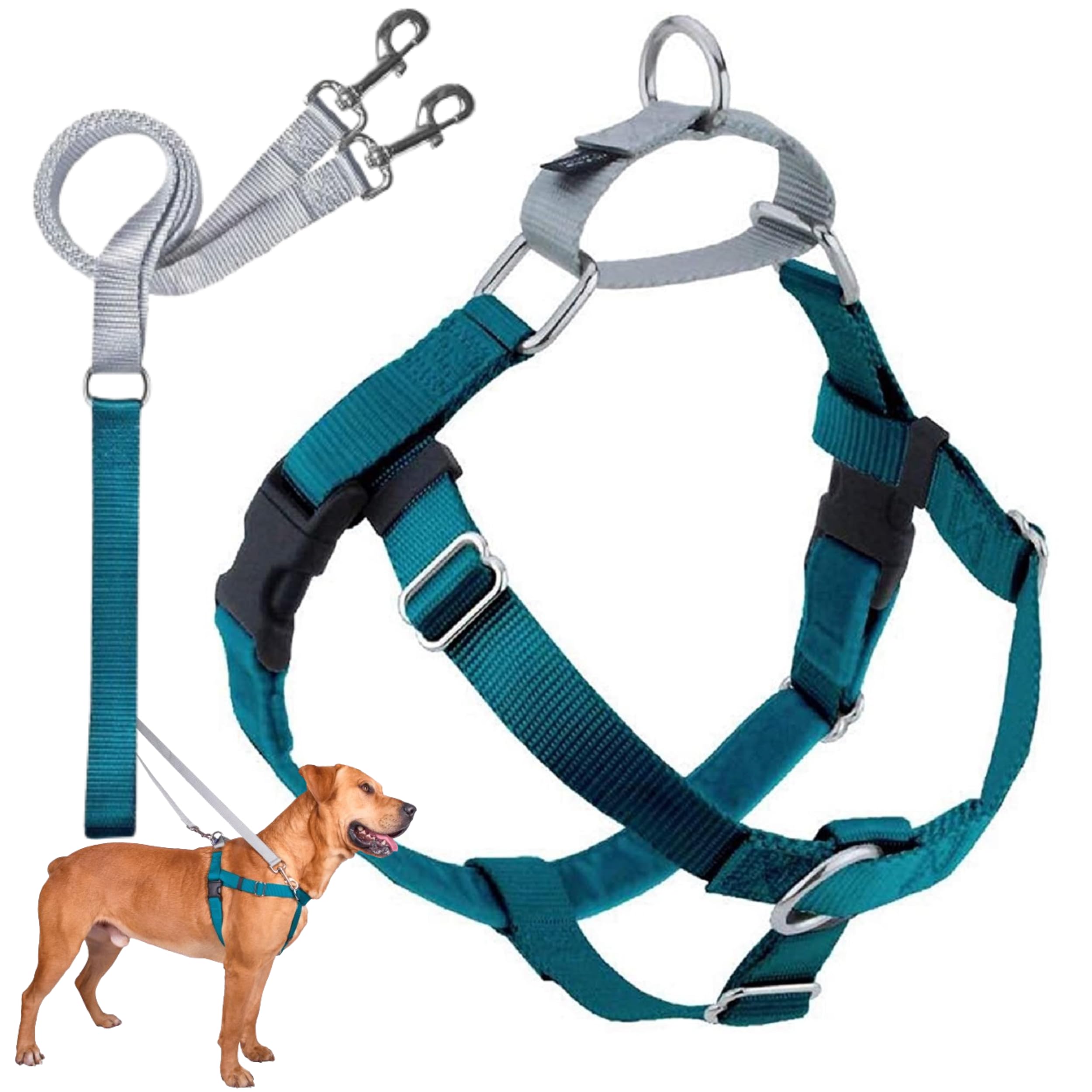 2 Hounds Design Freedom No-Pull Harness teal front view for calm, controlled walks