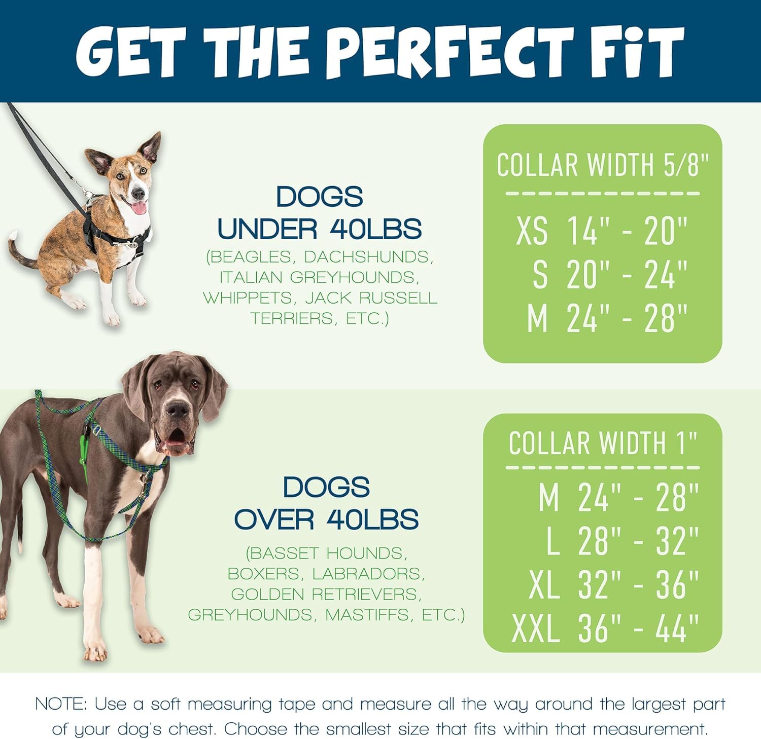 2 Hounds Design Freedom No Pull Harness ideal for walking and training sessions