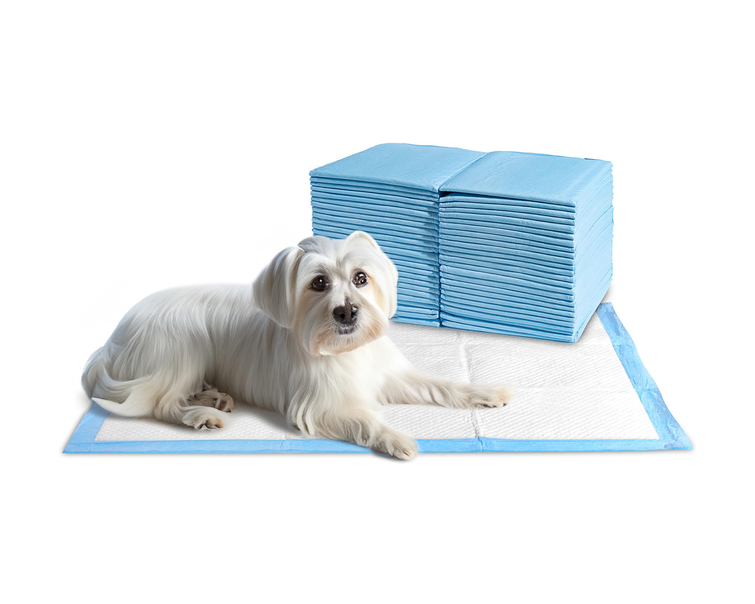 Odor-neutralizing pads by 24/7 BAGS keep spaces fresher.