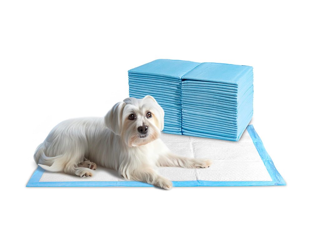Odor-neutralizing pads by 24/7 BAGS keep spaces fresher.