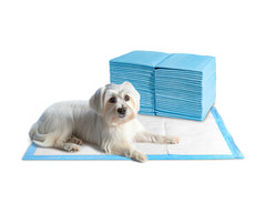 Odor-neutralizing pads by 24/7 BAGS keep spaces fresher.