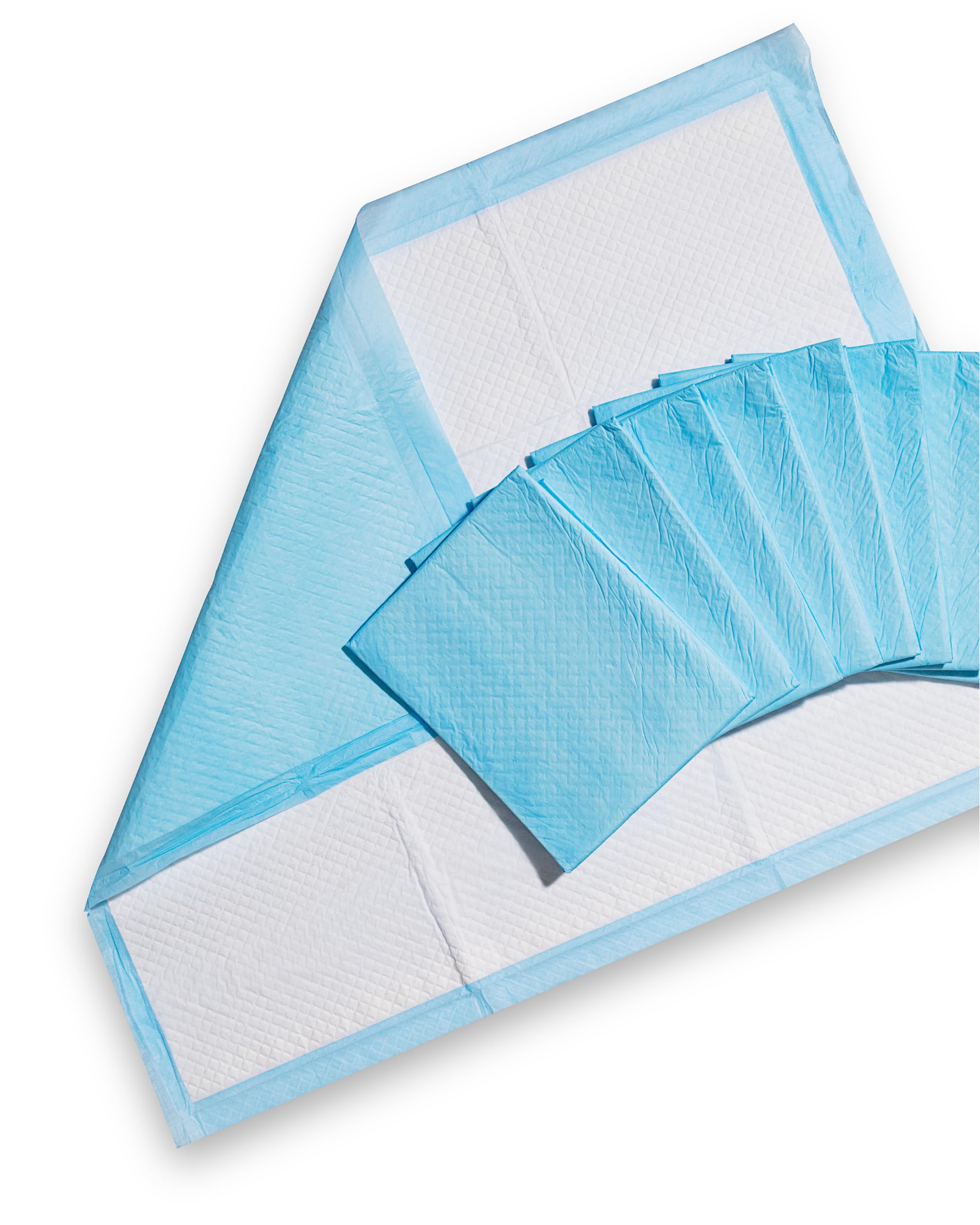 Two-pack box contains 50 pads for steady training supply.