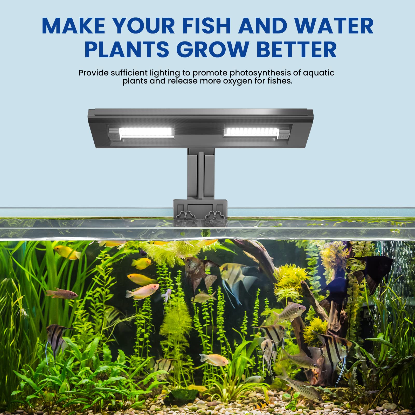 2FY2SW Aluxcia E26 aquarium light emitting daylight 5500K for natural colors.
