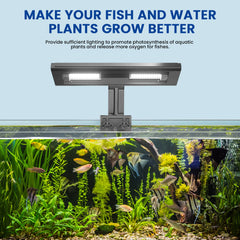 2FY2SW Aluxcia E26 aquarium light emitting daylight 5500K for natural colors.